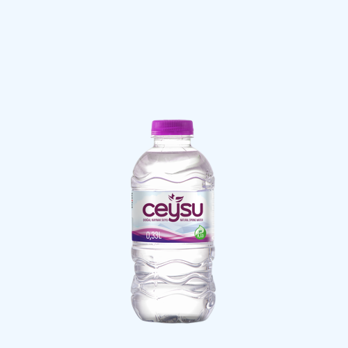 CEYSU PET ŞİŞE 0,33 LT X12