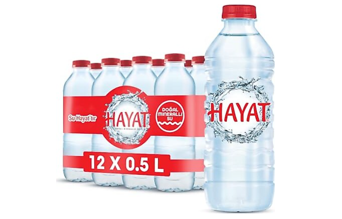 HAYAT POZANTI 0,5 LT X 12 ADET