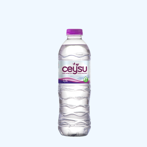 CEYSU PET ŞİŞE 0,50 LT X24 