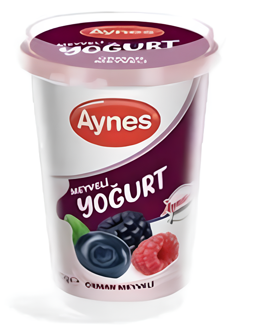 AYNES MEYVELİ YOĞURT 500 GR 6 ADET